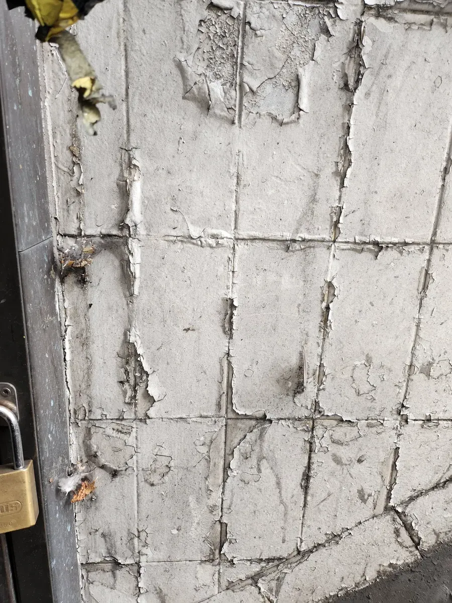 Decay 2024 Gallery Image 97